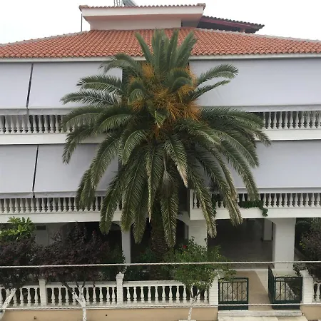 Dionisos Palms *