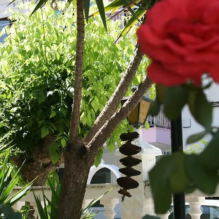 Dionisos Palms شقة باراليا ديونيسيو