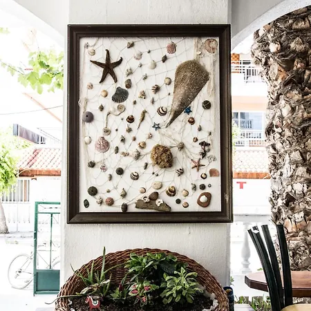 Dionisos Palms * باراليا ديونيسيو