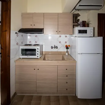 Dionisos Palms شقة *