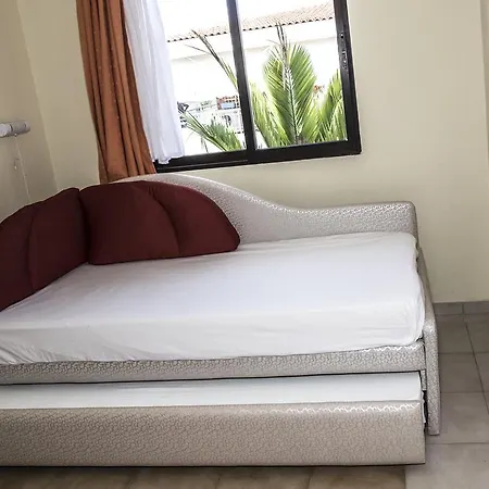 Dionisos Palms * باراليا ديونيسيو