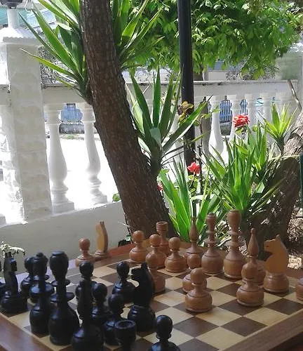 Dionisos Palms Apartament *