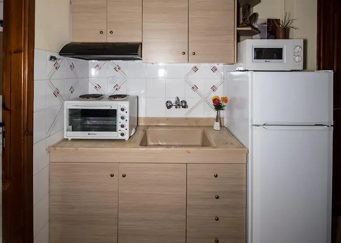 Dionisos Palms Apartament *