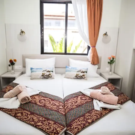 Dionisos Palms Apartment *