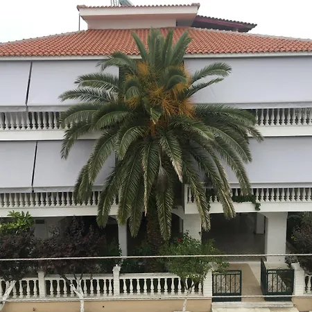 Dionisos Palms * Paralia Dionisiou