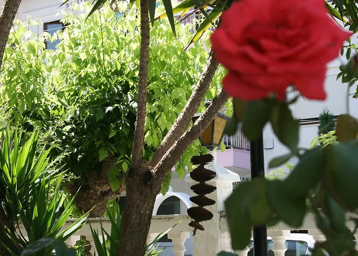 Dionisos Palms Appartement Paralia Dionysiou